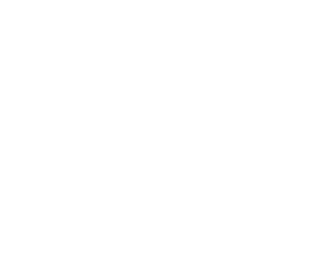 FitVision Logo